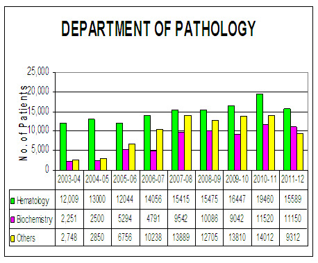 Pathology-graph